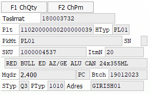 Paket məlumat ekranı